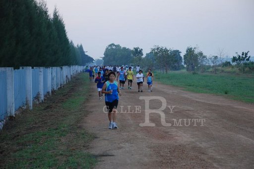 DSC_0434 Copy.JPG